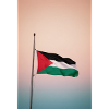 Palestinian Flag 2024