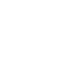 Lion Portrait