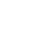 Butterfly Silhouette