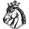 Majestic Shadow Stallion