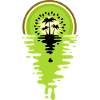 Sunset Kiwi juice
