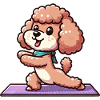 Poodle Yoga Exercises Meditation Training