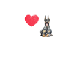 Doberman