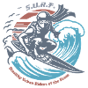 Ninja-Surfer