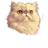 Persian Cat Perserkatze