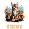 Ocicat Kitten Ocicat Cat