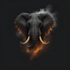 Elephant portrait