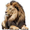 Majestic Mane Löwe