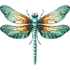 Libellule