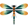 Dragonfly