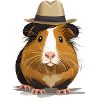 Cute guinea pig