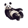 Panda Ours Panda géant japonais