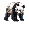 Panda Ours Panda géant japonais