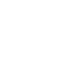 IMAGINER