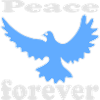 Peace Dove Bird