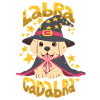 Labrador Wizard / Abracadabra