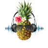 Pineapple Hibiscus Sunglasses