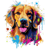 Golden Retriever Dog