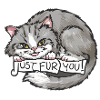 Cat_Just vous fourrure