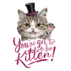 Katze - Du musst Kätzchen sein!