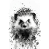 Igel