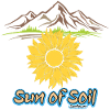 Sunflower - Sun of Soil