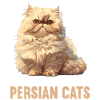 Persian Cat Perserkatze
