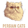 Persian Cat Perserkatze