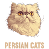 Persian Cat Perserkatze