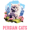 Persian Cat Perserkatze