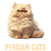 Persian Cat Perserkatze