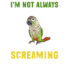 Molina Parakeet Parrot Bird Parakeet