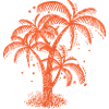 Palm trees and stars