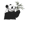 Panda Bear Japanese Panda