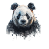 Panda Bear Aquarelles Panda japonais