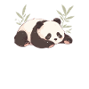 Pandabär Schlafender Japanischer Panda