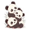 Panda Bear Cub Panda japonais
