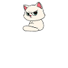 Cat Diva Commands