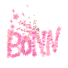 Kirschblüte,blumen,blüte,Blume