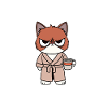 Café Miaou droit