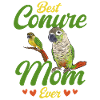 Molina Parakeet Parrot Bird Parakeet