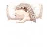 Official Sleep Shirt
