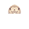 Hedgehog Mom