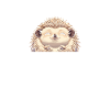 Hedgehog Mom