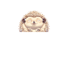 Hedgehog Dad