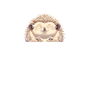 Papa hérisson