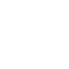 Sneakerhead Collectionneur de baskets