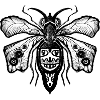 Dark fly