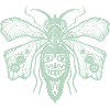 Nœud papillon vert