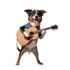 Guitar Dog